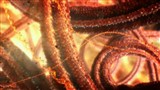 Скачать с letitbit  Внутренняя Вселенная: Тайная жизнь клетки / Secret Universe: The Hidden Life of the Cell (2012) HDTVRip