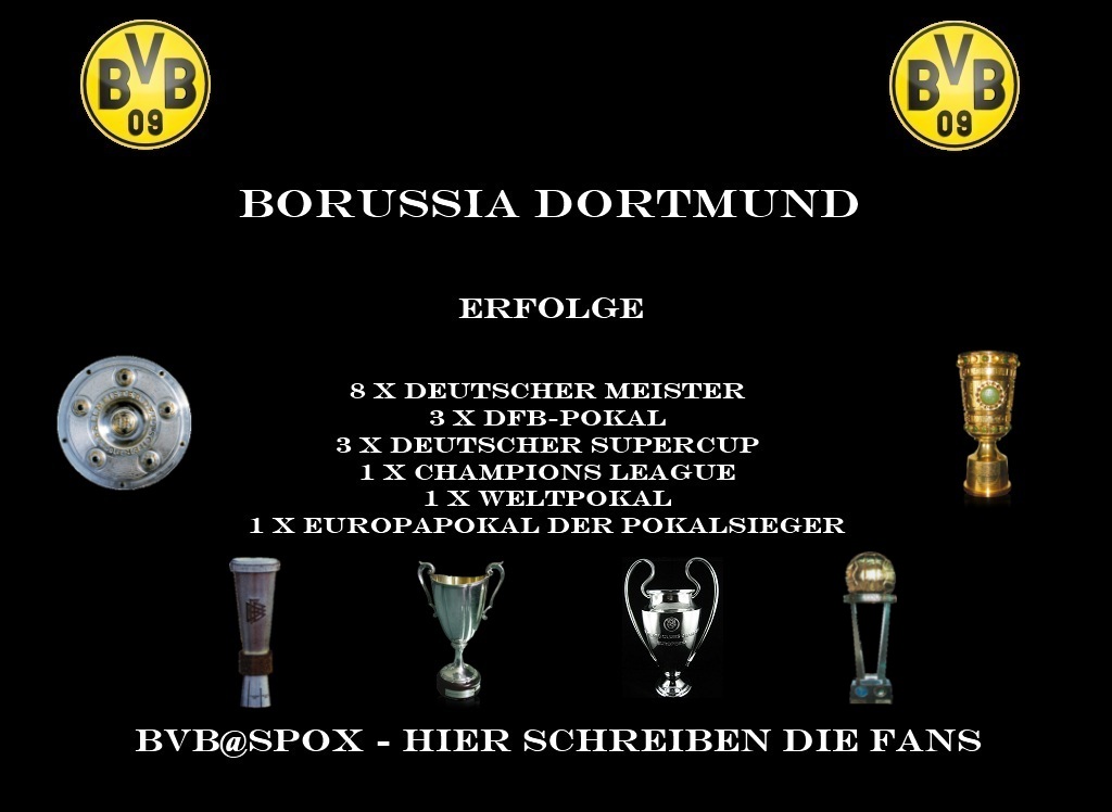 Mixed Martial Arts auf Spox