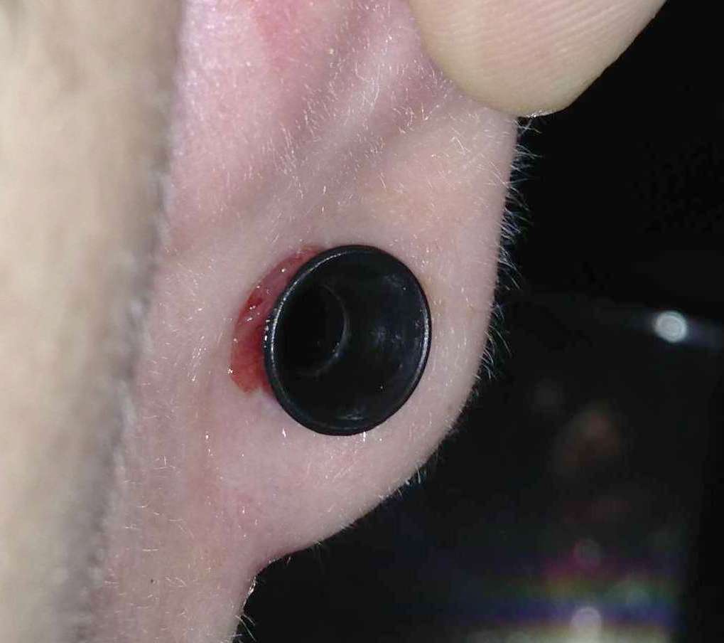 Schweres Problem mit Tunnel Tattoo &amp; Piercing Forum
