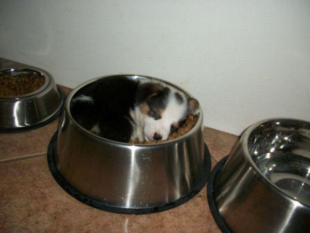 http://s14.directupload.net/images/130111/9jlnii8l.jpg