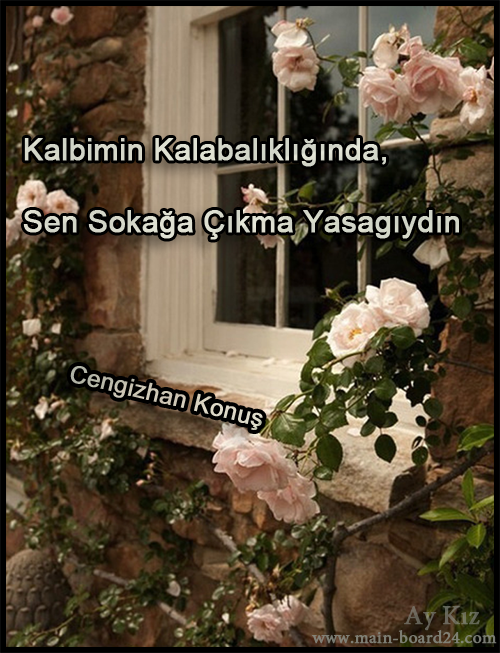 ripl433c.png