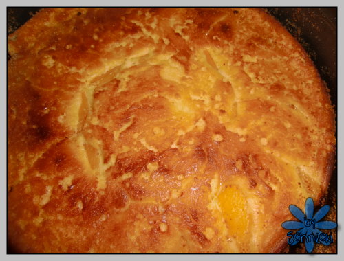 Quarkkuchen mit Pfirische - schnell gemacht Quarkkuchen mit Pfirische